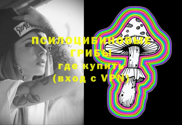 сатива Абдулино