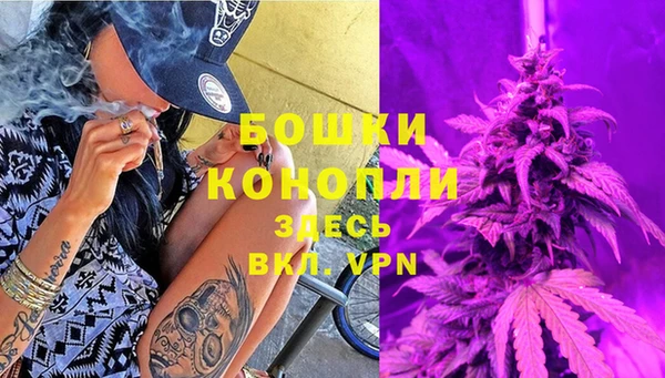 сатива Абдулино