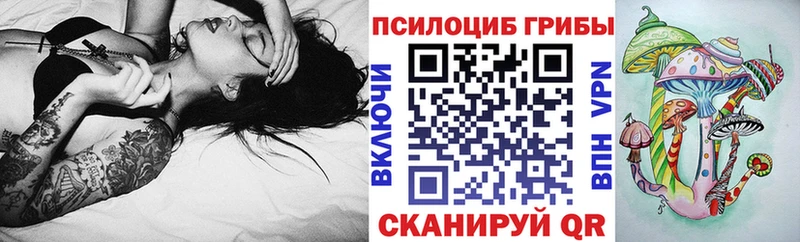Псилоцибиновые грибы GOLDEN TEACHER  Алейск 
